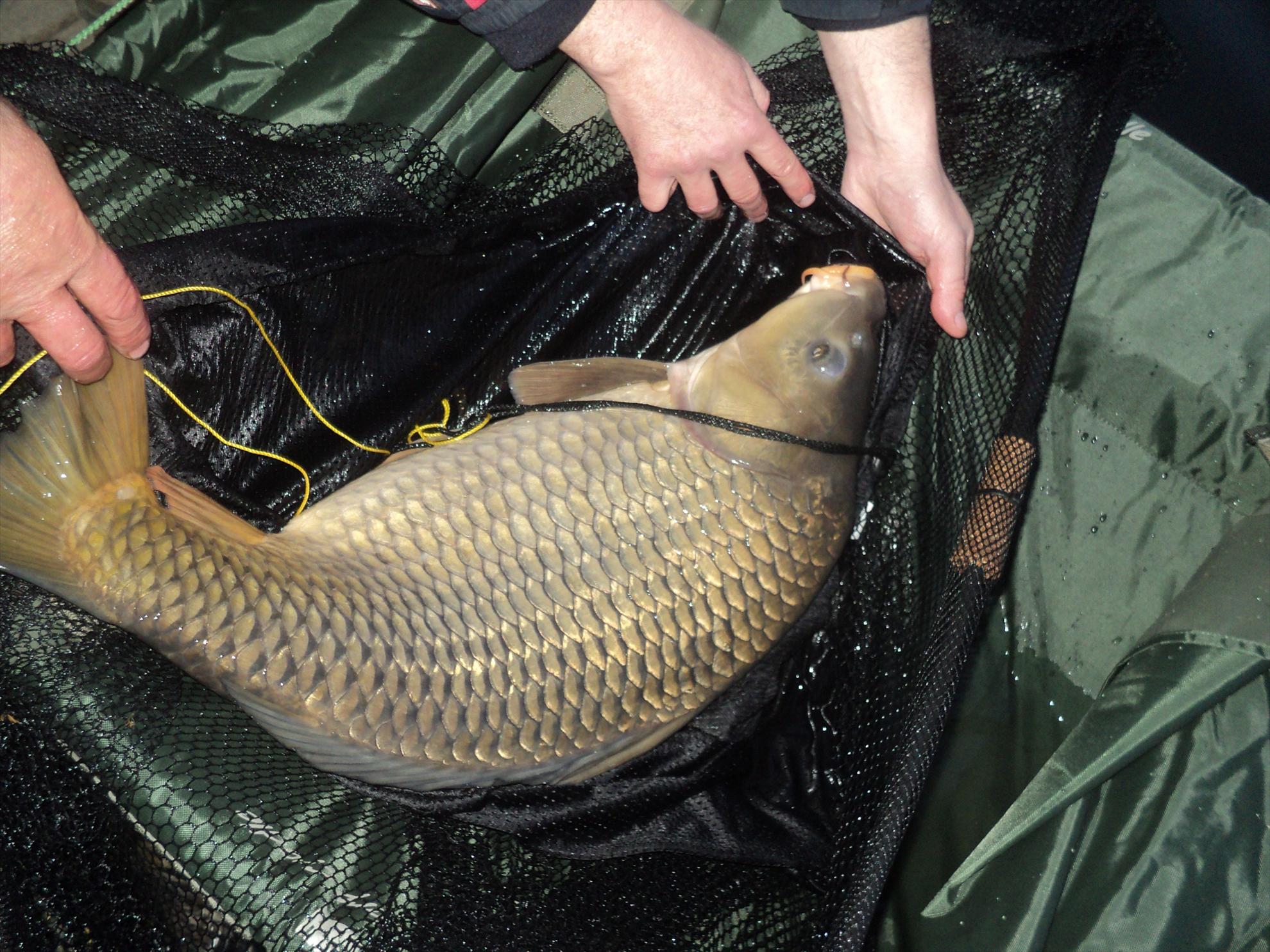 cupa SBS 2013 - dsc02059.JPG